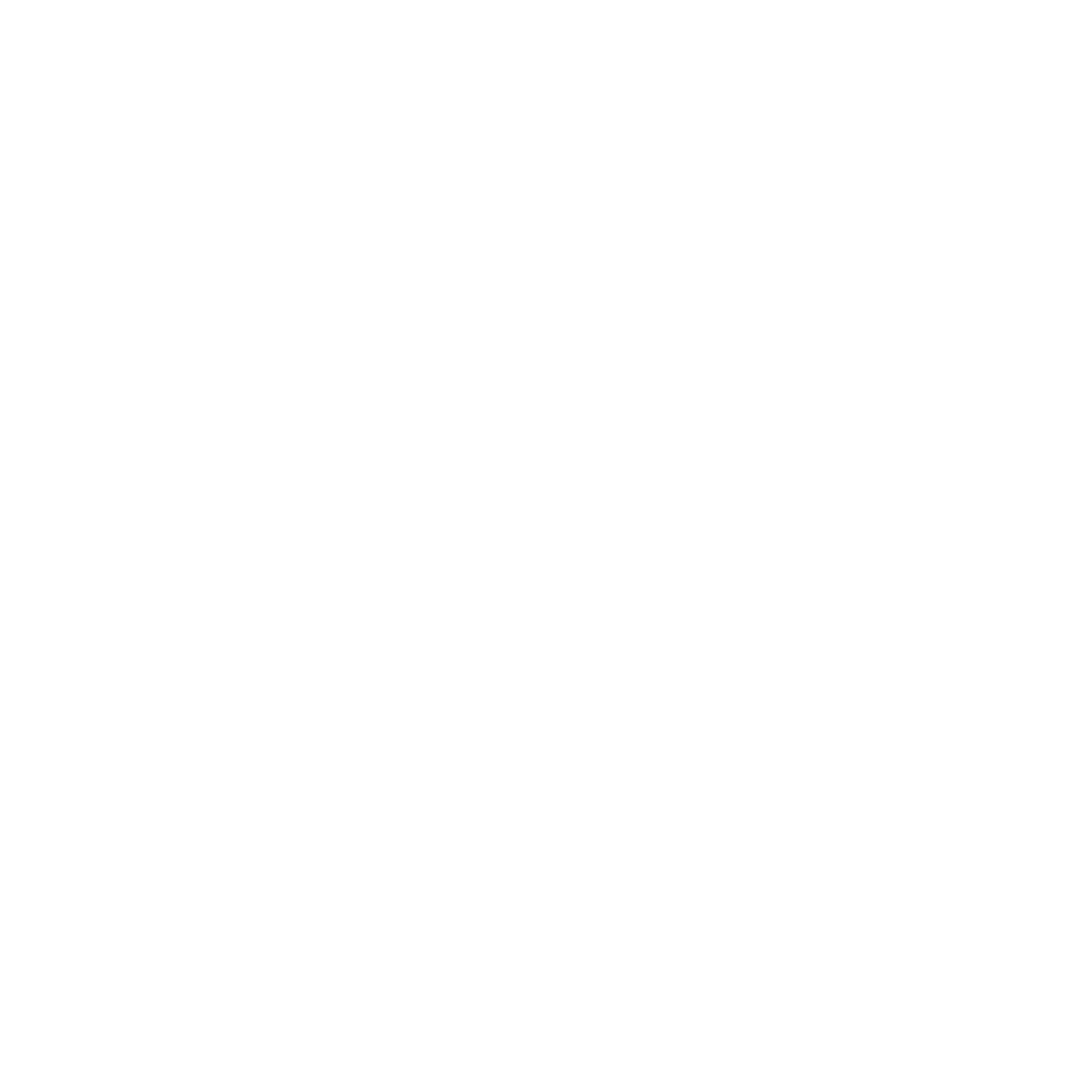 logo Biella Legno bianco