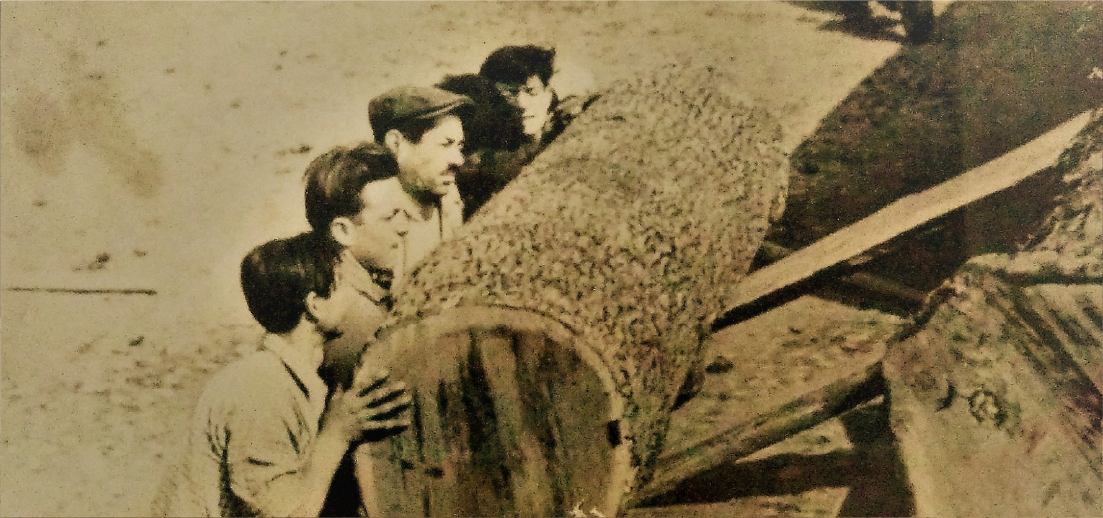 foto storica di Biella legno in cui addetti caricano un tronco di legno